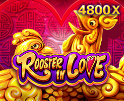 JDB Bet Rooster In Love