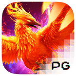 PG Bet Phoenix Rises PG Bet Phoenix Rises