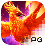 PG Bet Phoenix Rises